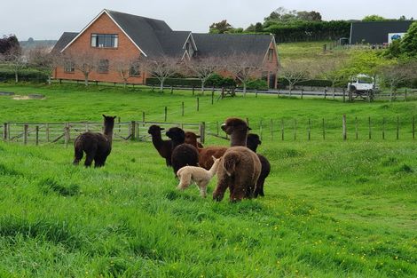 Photo of property in 600 Ponga Road, Opaheke, Papakura, 2584