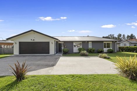 Photo of property in 39 Hartis Avenue, Huntly, 3700