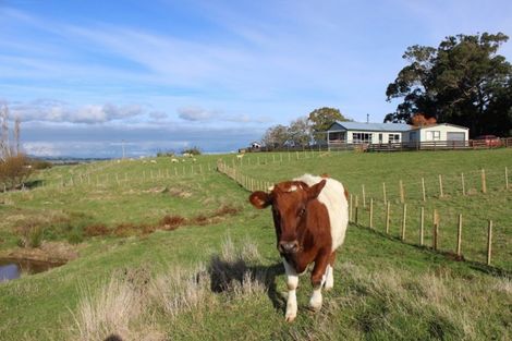 Photo of property in 314 Umutaoroa Road, Dannevirke, 4978