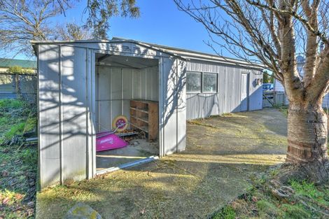 Photo of property in 8 Helena Street, Lumsden, 9730