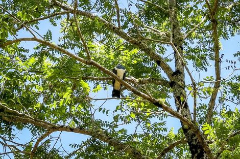 Photo of property in 241 Surrey Hill Road, Kaitake, New Plymouth, 4374