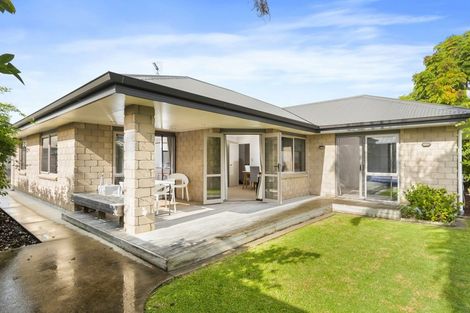 Photo of property in 99 Solomon Street, Brookfield, Tauranga, 3110