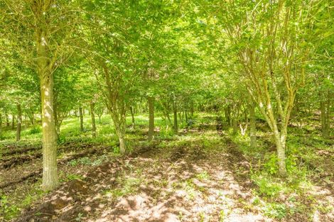 Photo of property in 115 Ellis Road, Otorohanga, 3974