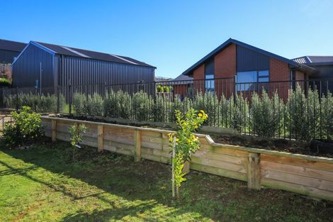 Photo of property in 20 Headlands Drive, Te Awamutu, 3875