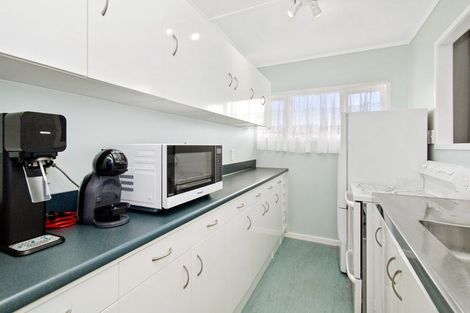 Photo of property in Rutherford Flats, 5 Levy Street, Mount Victoria, Wellington, 6011