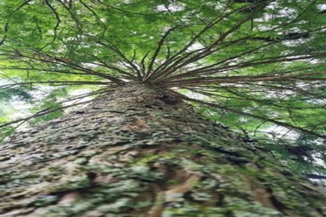 Photo of property in 11 Sanctuary Lane, Tamahere, Hamilton, 3283