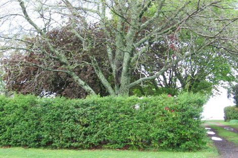 Photo of property in 29 Tamaki Street, Ngongotaha, Rotorua, 3010