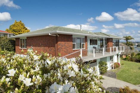 Photo of property in 34 Vine Avenue, Maungatapu, Tauranga, 3112
