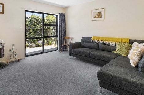 Photo of property in 43 Havelock Street, Renwick, 7204