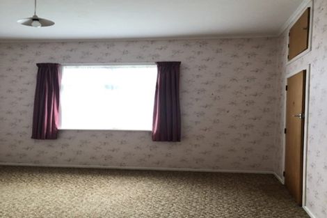 Photo of property in 17 Devon Street, Levin, 5510