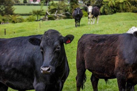 Photo of property in 19 Roddy Road, Everett Park, New Plymouth, 4373