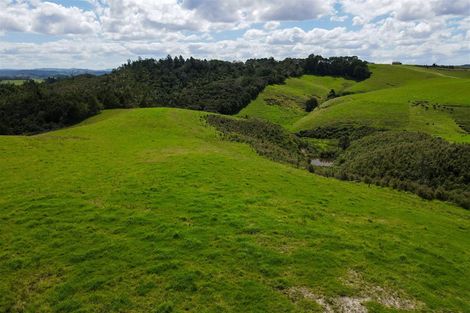Photo of property in 1371 Ruapekapeka Road, Kawakawa, 0182