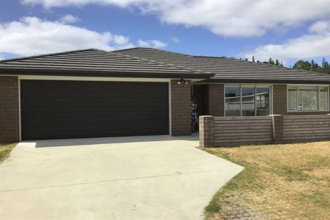 Photo of property in 12 Breakwater Place, Mangawhai Heads, Mangawhai, 0505