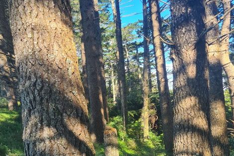 Photo of property in 2386 Tarata Road, Tarata, Inglewood, 4387