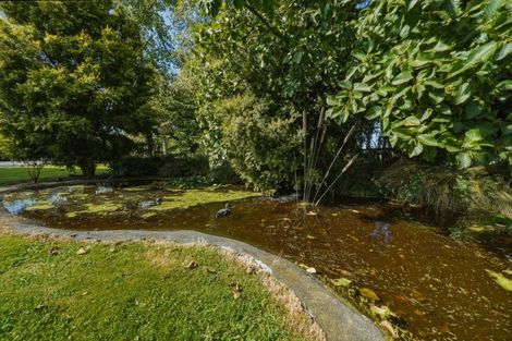 Photo of property in 161 Easterbrook Road, Fernside, Kaiapoi, 7691