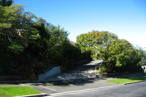 Photo of property in 100 Chapman Street, Wakari, Dunedin, 9010