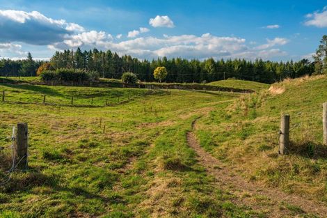 Photo of property in 65 Palmer Mill Road, Wairakei, Taupo, 3384
