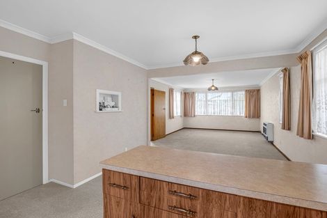Photo of property in 22 Snowdon Avenue, Terrace End, Palmerston North, 4410