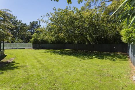 Photo of property in 212 Ormond Road, Mangapapa, Gisborne, 4010