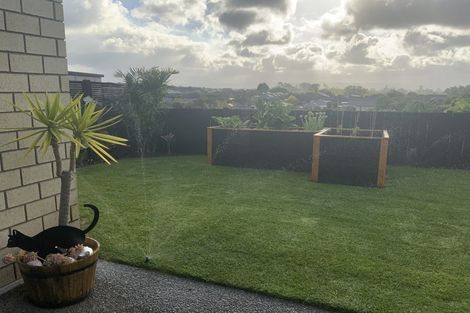 Photo of property in 43 Albero Drive, Ohauiti, Tauranga, 3112