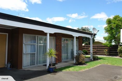 Photo of property in 16c Burrows Street, Tauranga South, Tauranga, 3112