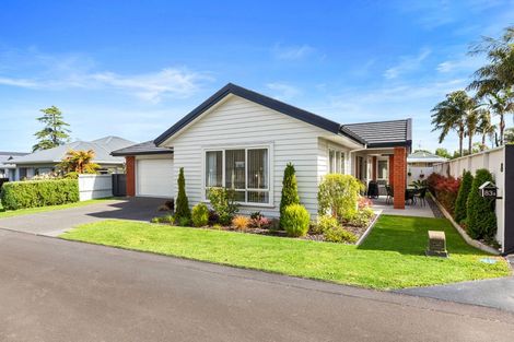 Photo of property in 83a Carmichael Road, Bethlehem, Tauranga, 3110