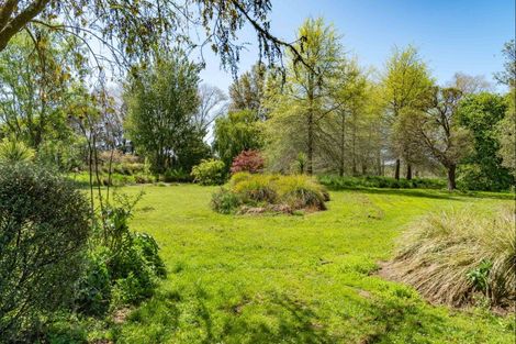 Photo of property in 213 Te Whiti Road, Homebush, Masterton, 5885