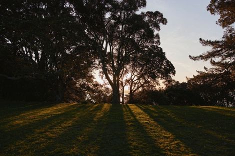 Photo of property in 9c St Michaels Avenue, Point Chevalier, Auckland, 1022