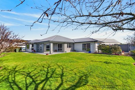 Photo of property in 39 Percy Berry Place, Havelock North, 4130