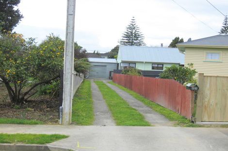 Photo of property in 46a Chester Street, Levin, 5510