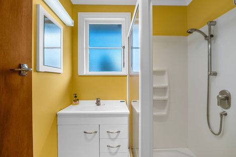 Photo of property in 22 Snowdon Avenue, Terrace End, Palmerston North, 4410