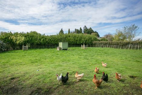Photo of property in 37a Mangauika Road, Pirongia, Te Awamutu, 3876