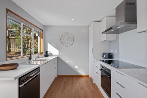 Photo of property in 14 Leicester Street, Picton, 7220