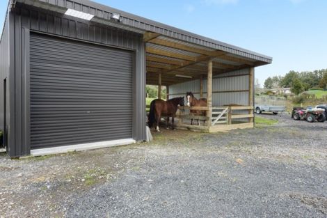 Photo of property in 81 Leyland Road, Whakamarama, Tauranga, 3179