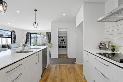 Photo of property in 55 Bonecrusher Street, Lincoln, 7608