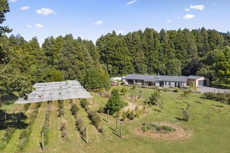 Photo of property in 31 Mangakino Road, Raglan, 3295
