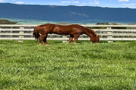 Photo of property in 202e Tower Road, Matamata, 3471