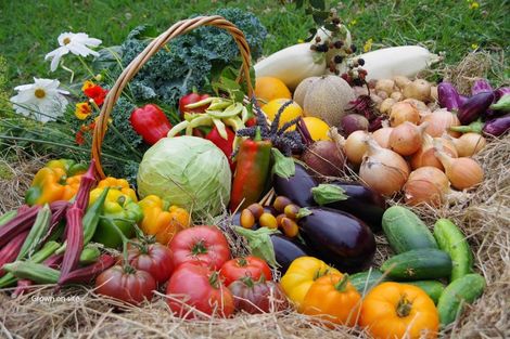 Photo of property in 527 Bush Road, Turua, Ngatea, 3597