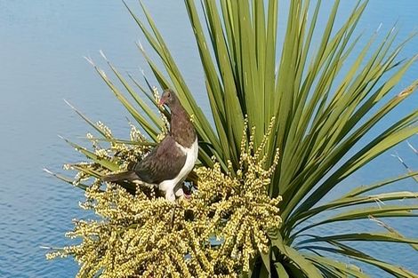 Photo of property in 4 Bewley Avenue, Macandrew Bay, Dunedin, 9014