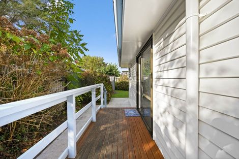 Photo of property in 172 Nixon Street, Hamilton East, Hamilton, 3216