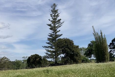 Photo of property in 123 Colville Road, Dargaville, 0377