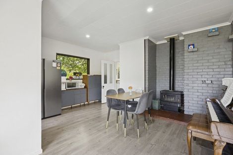 Photo of property in 38 Brunel Street, Mornington, Dunedin, 9011