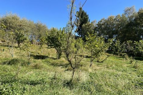 Photo of property in 37 Knoll Street, Milton, 9292