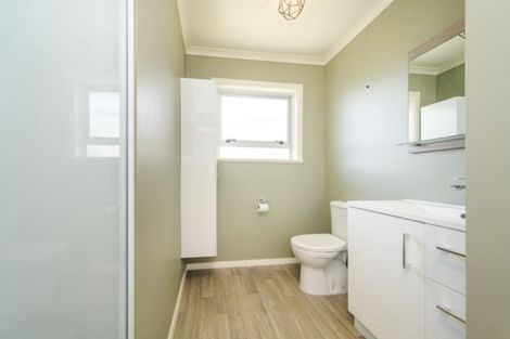 Photo of property in 17 Forbury Avenue, Takaro, Palmerston North, 4412