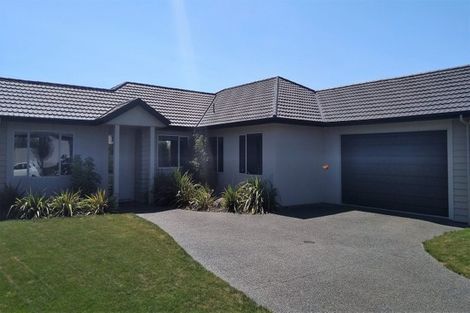 Photo of property in 19 Karoola Place, Havelock North, 4130