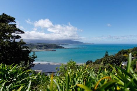 Photo of property in 38 Hornsey Road, Melrose, Wellington, 6023