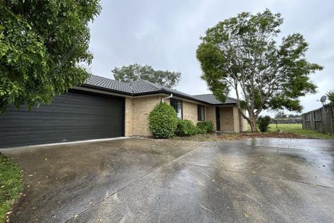 Photo of property in 53 Parkside Drive, Huntington, Hamilton, 3210