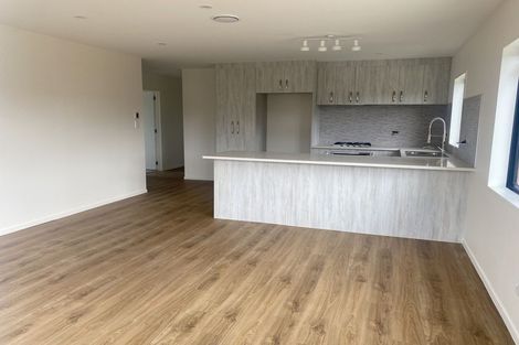 Photo of property in 24 Royal Arch Place, Rosehill, Papakura, 2113