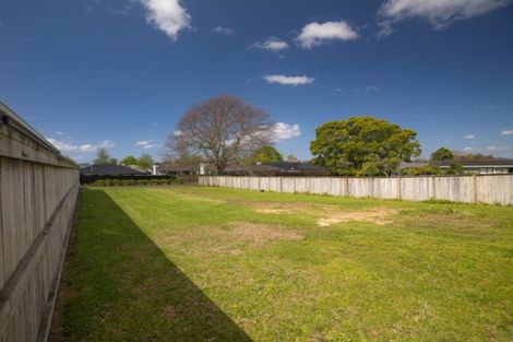 Photo of property in 91 Carmichael Road, Bethlehem, Tauranga, 3110
