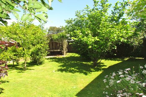 Photo of property in 23 Waterhouse Street, Masterton, 5810